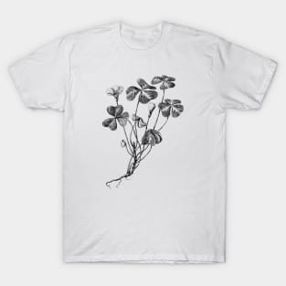 Forest Clover Black and White Vintage Botanical Illustration T-Shirt